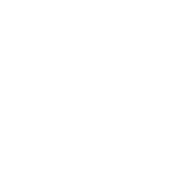 Travelitis LLC