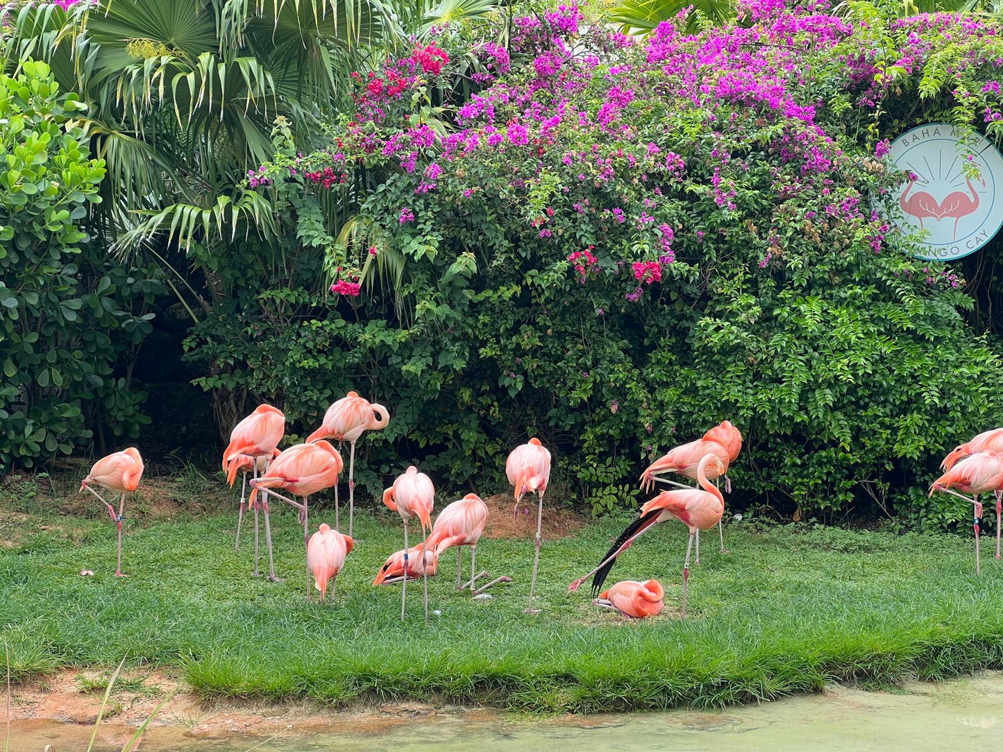Nassau Bahamas -  Grand Hyatt Baha Mar Getaway - April 2026